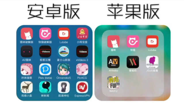 my云播安卓破解版(云直播tv版破解版apk)-第2张图片-太平洋在线下载