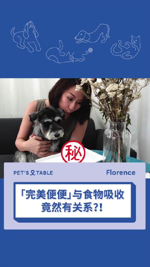 pets网站客户端(pets官网网址)-第2张图片-太平洋在线下载